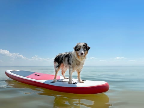 Crystal clear European lake with SUP board