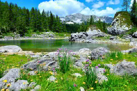 Julian Alps lake Slovenia